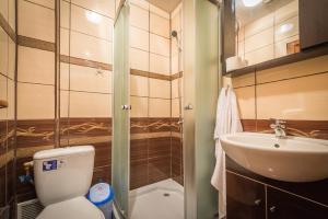 Koupelna v ubytování Hotel Foisor