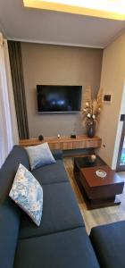 a living room with a blue couch and a flat screen tv at Cabañas MI REFUGIO TERMAL in Roboré