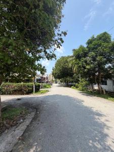an empty road with trees on the side of it at Stellas house in Langkawi Islands +11 photos