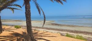 a beach with two palm trees and the ocean at maison djerbienne in Fafou