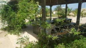 a view of a beach with trees and a pavilion at maison djerbienne in Fafou +6 photos
