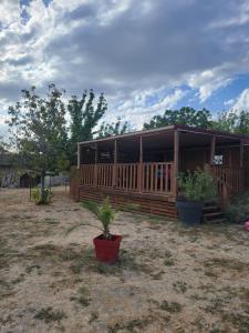 a wooden cabin with potted plants in front of it at roulotte en bois in Ranton
