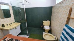 a bathroom with a sink and a toilet and a shower at SCO Lodge in Punaauia