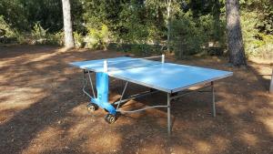 Stolní tenis v ubytování La Cigale nebo okolí