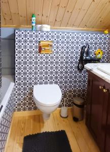a bathroom with a toilet and a sink at iNKiLAS KLIUKAI in Bijutiškis +17 photos
