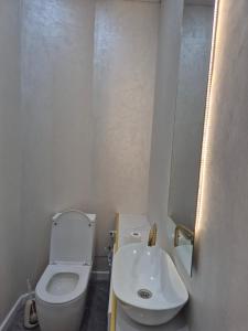 a small bathroom with a toilet and a sink at На Желтоксан in Taldykorgan