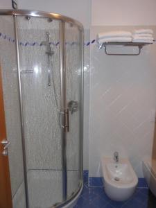 a shower in a bathroom with a toilet and a sink at Il Falchetto in Sarnonico