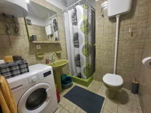 a bathroom with a washing machine and a toilet at Apartman Terrazza in Sumartin +33 photos