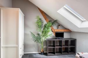 a plant in a room with a laptop on a shelf at Unterkunft Fischerbrücke in Wolfenbüttel