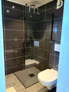 a bathroom with a toilet and a glass shower at Northern Suite in Tromsø +5 photos