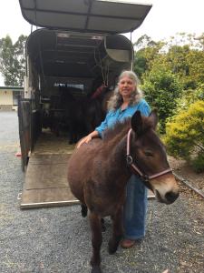 una mujer parada junto a un pequeño caballo marrón en Snowy River Lodge Motel en Orbost