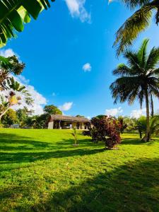 a house on a green field with palm trees at Ankavia Lodge in Sainte Marie