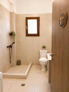 a bathroom with a toilet and a shower and a window at Villa Rozalia in Konitsa +17 photos