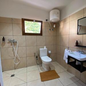 a bathroom with a shower and a toilet and a sink at Ankavia Lodge in Sainte Marie