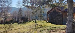 a cabin in a field next to a tree at Chalet ondalis in Le Malzieu-Ville