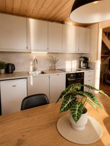 a kitchen with a table with a potted plant on it at Rønsholmen brygger in Beian +21 photos