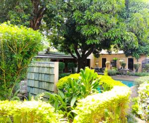 a garden with yellow flowers and a swimming pool at The Courtyard Guesthouse in Matola