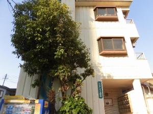 a white building with a tree in front of it at Private House Sora / Vacation STAY 1122 in Sakai