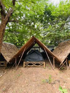 a group of tents with trees in the background at Zulu land Kohlarn in Ko Lan