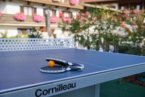 a ping pong table with an orange on it at Hotel Alpenhof in Bad Wiessee