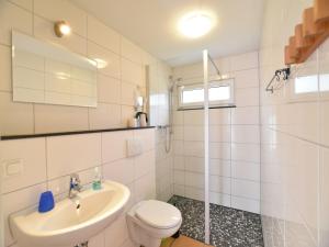a bathroom with a sink and a toilet and a shower at Boutique Bungalow in Insel Poel with terrace in Insel Poel