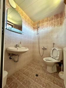 a bathroom with a toilet and a sink at Къща Петя село Орешак in Troyan +14 photos