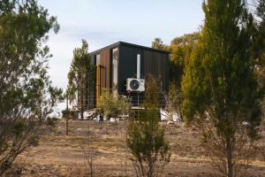 a black tiny house in a field with trees at Raya and Aiden Farm House by Tiny Away in Cooma +19 photos