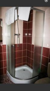 a shower with a glass door in a bathroom at Готель Аркан in Kolomiya