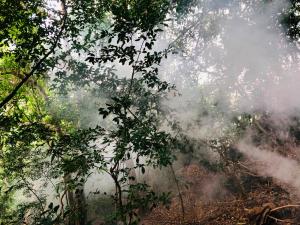 a forest with smoke coming out of the trees at Hide Hills Cabana in Dambulla