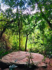 a large rock in the middle of a forest at Hide Hills Cabana in Dambulla
