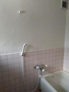 a bathroom with a bath tub and a shower at ゲストハウスぬっく in Tanabe +9 photos