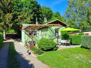 a green house with a cat walking in front of it at Ferienhaus Hilde in Sangerhausen +18 photos