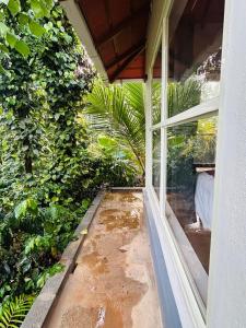 an outside window of a house with plants at Janapriya Villa 2 in Mudigere