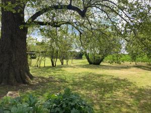 a park with a tree and some green grass at LOGEMENT ENTIER Tilleul Suite in Fléac