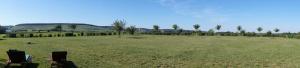 a large field with chairs in a field with palm trees at Chateau des Barrigards in Ladoix Serrigny