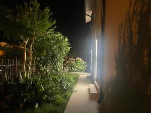 a hallway with plants and a light at night at Villa Nina in Lagosanto