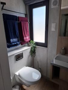 a bathroom with a toilet and a window and towels at Mobilheim Bumblebee im Allgäu in Oberegg