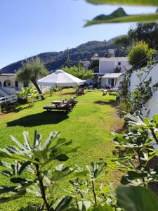 a lawn with tables and umbrellas in a yard at Elina Apartments in Parga