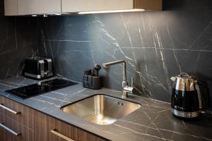 a kitchen with a stainless steel sink and a appliance at Apartmány Kramer in Opava +35 photos