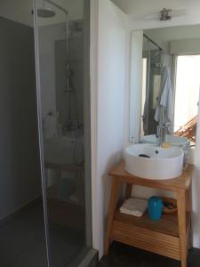 a bathroom with a sink and a shower at Villa Ximun in Roches Noires