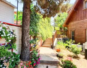 a garden path leading to a house with flowers at BeLev Odem in Odem