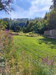 a field of grass with purple flowers in the foreground at Ferienhaus Eden Frankenblick I Rennsteig I Thüringer Wald I Wandern I Naturnah I nahe Skipiste l Spielzimmer I Waschmaschine I kostenlos parken I WLAN I Spülmaschine I Familien-Ferienhaus I Waldwege und Wanderwege in Mengersgereuth-Hämmern