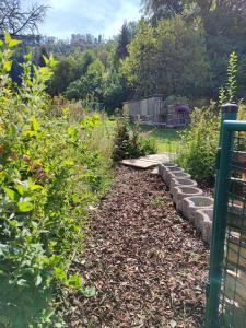 a garden with a pathway and some plants at Ferienhaus Eden Frankenblick I Rennsteig I Thüringer Wald I Wandern I Naturnah I nahe Skipiste l Spielzimmer I Waschmaschine I kostenlos parken I WLAN I Spülmaschine I Familien-Ferienhaus I Waldwege und Wanderwege in Mengersgereuth-Hämmern +25 photos