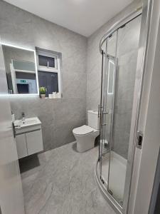 a bathroom with a toilet and a sink and a shower at Cortoon Inn in Tuam +42 photos