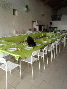 a black cat sitting on top of a long table at Sky and Bel Air in Saint-Philbert-de-Bouaine +2 photos