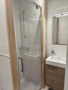 a bathroom with a shower and a sink at Appartement cosy in Les Rousses