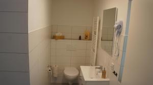 a bathroom with a toilet and a sink and a mirror at Weitblick am Rammenfeld in Schönecken +8 photos