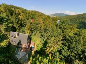 an aerial view of a house in the middle of a forest at Willa Zielony Świat in Międzybrodzie Bialskie