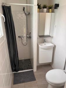 a bathroom with a shower with a toilet and a sink at Dépendance climatisée au sud de Toulouse in Lacroix-Falgarde