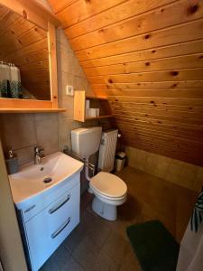 a bathroom with a toilet and a sink at Bohinj Nook Apartment in Bohinj